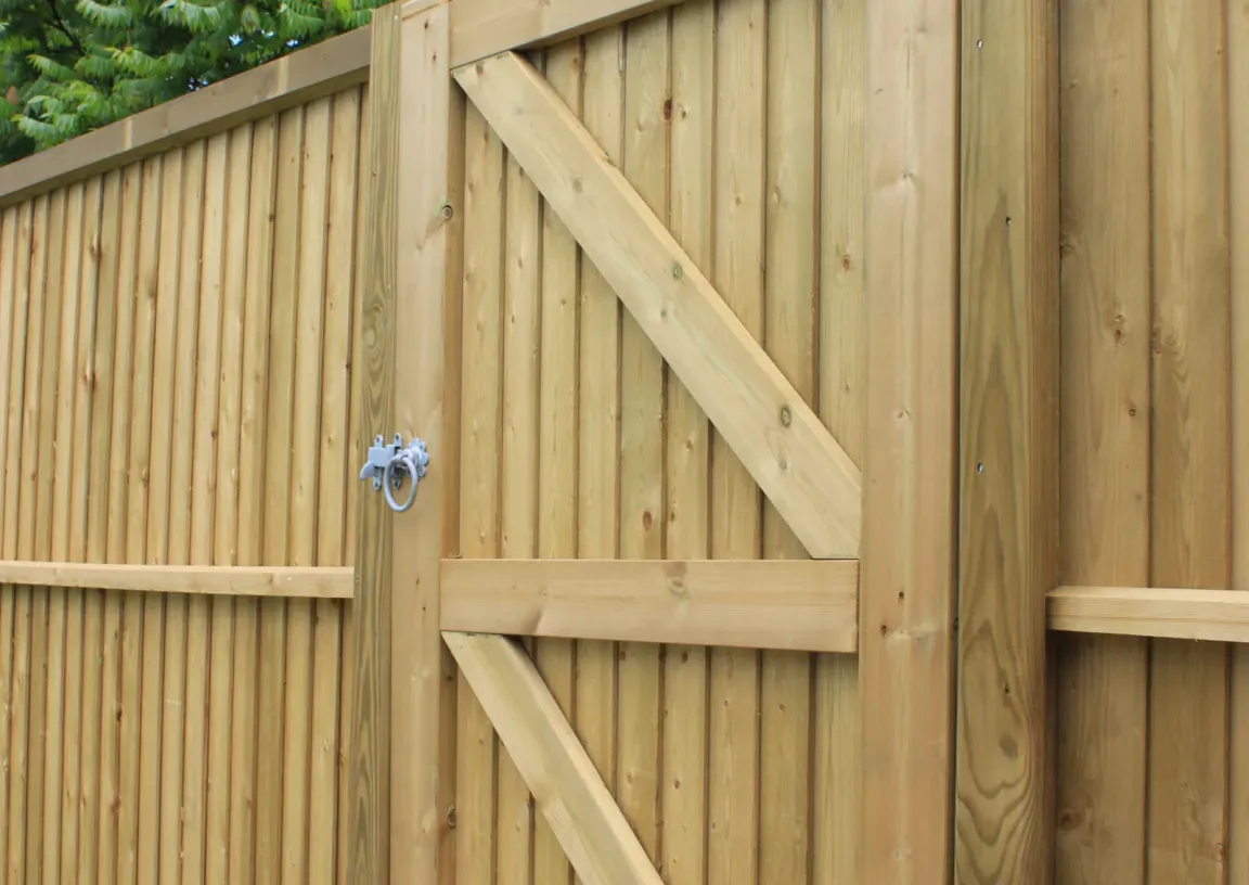 Jacksons panel garden gate.