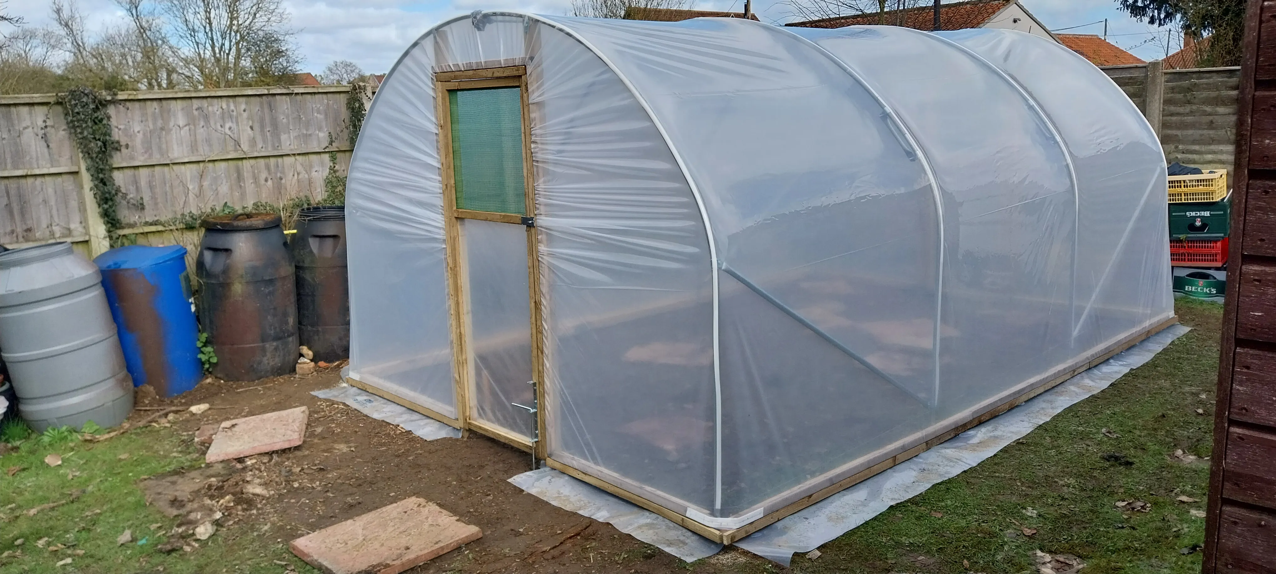 Polytunnel growing area in Eaton